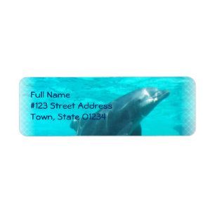 Schwimmen-Delphin-Rücksendeadresse-Aufkleber