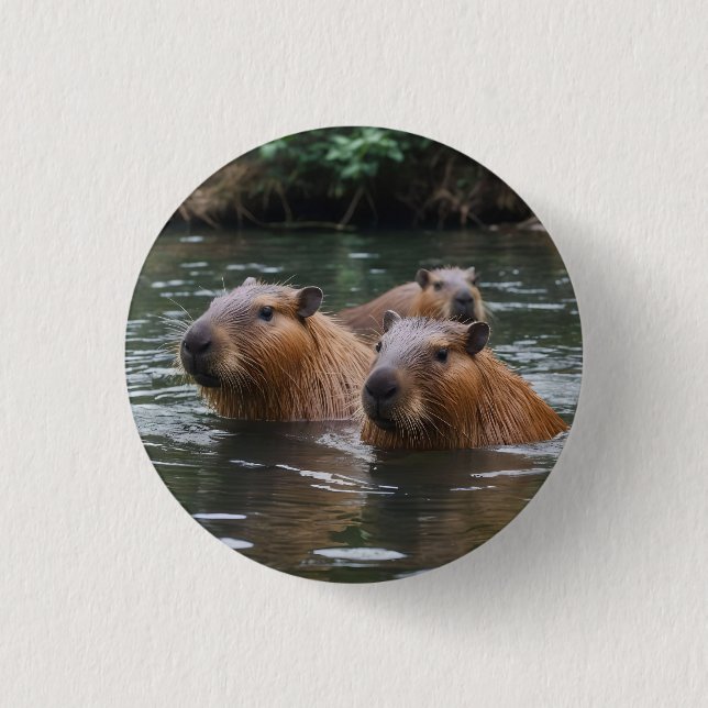 Schwimmen der Capybaras im Fluss,  Button (Vorderseite)