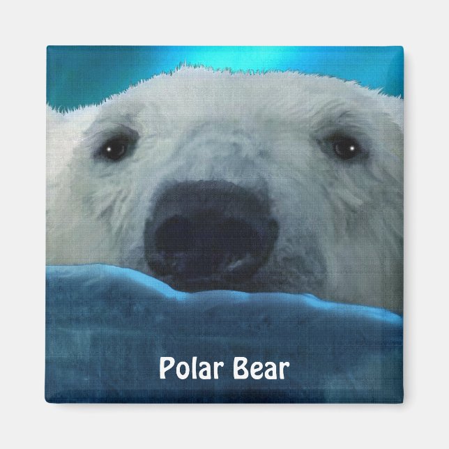 Schwimmen Eisbär Arktis Kunst, Dichtung und Musik Magnet (Vorne)