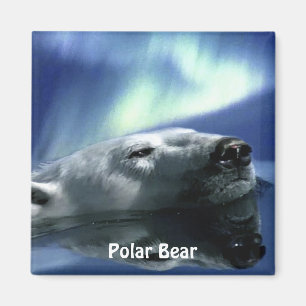 Schwimmen Eisbär Arktis Kunst, Dichtung und Musik Magnet