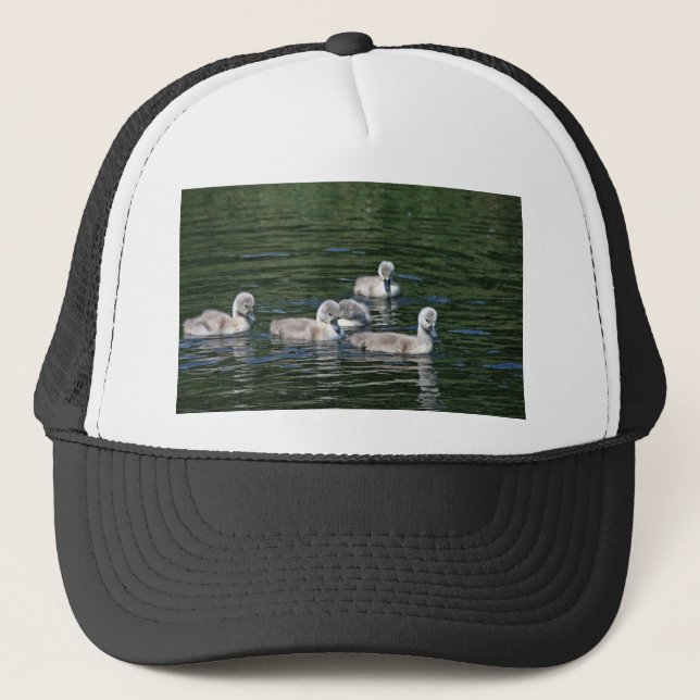 Schwimmen-Freunde Truckerkappe (Vorderseite)