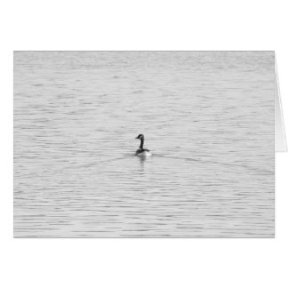 Schwimmen-Gans