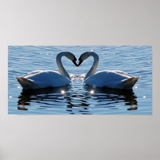 Schwimmen Herzkuss, Spiegelungen der Liebe Poster (Vorne)