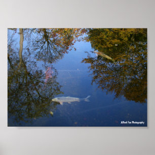 Schwimmen im Himmel Poster