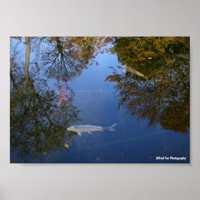 Schwimmen im Himmel Poster (Vorne)