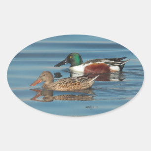 Schwimmen im Nördlichen Geschenksticker Ovaler Aufkleber