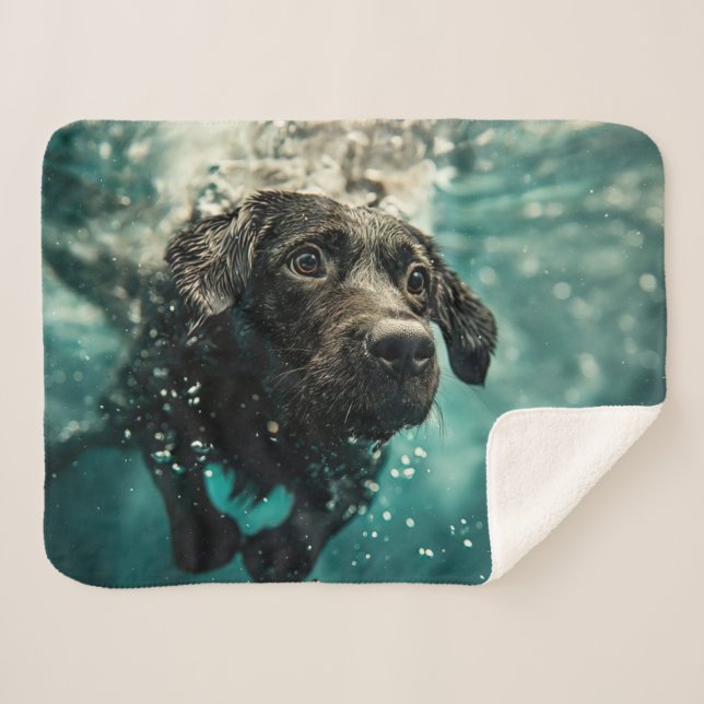 Schwimmen Labrador Puppy Underwater Design Sherpadecke (Vorderseite (Horizontal))