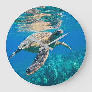 Schwimmen-Meeresschildkröte Große Wanduhr