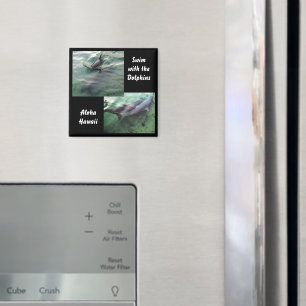 Schwimmen mit Delphinen Hawaii Magnet