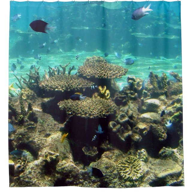 SCHWIMMEN MIT DEN FISCHEN DUSCHVORHANG (Vorderseite)