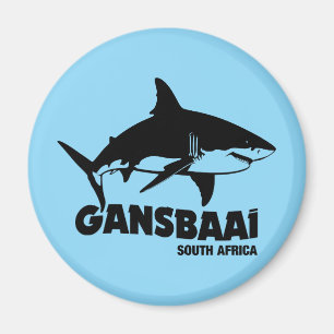 Schwimmen mit großen weißen Haien - Gansbaai Tauch Magnet