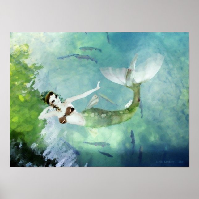 Schwimmen mit Lachs Print Poster (Vorne)