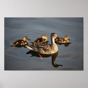Schwimmen mit Mama Poster