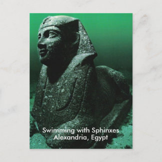 Schwimmen mit Sphinxen Postkarte