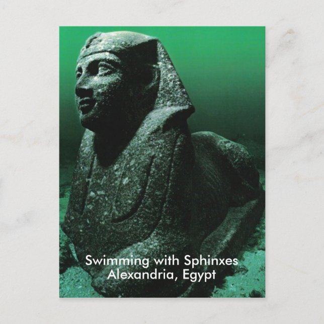 Schwimmen mit Sphinxen Postkarte (Vorderseite)