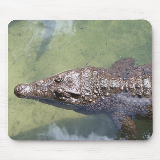 Schwimmen Mousepad (Vorne)