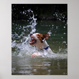 Schwimmen Poster