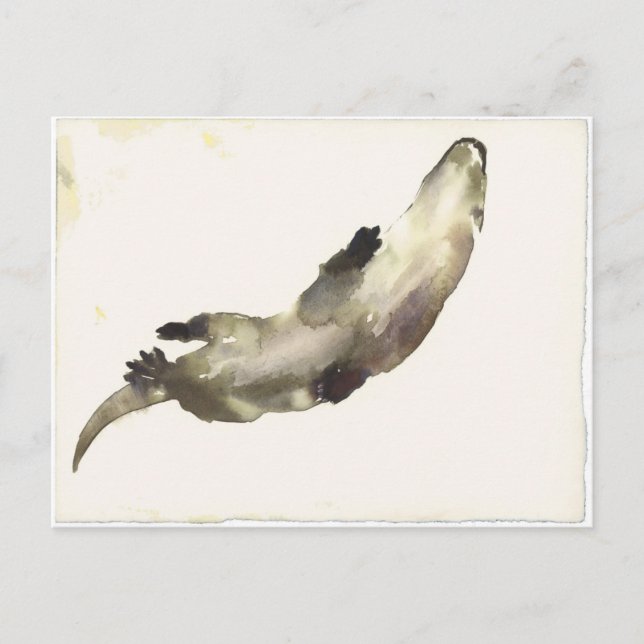 Schwimmen Postkarte (Vorderseite)