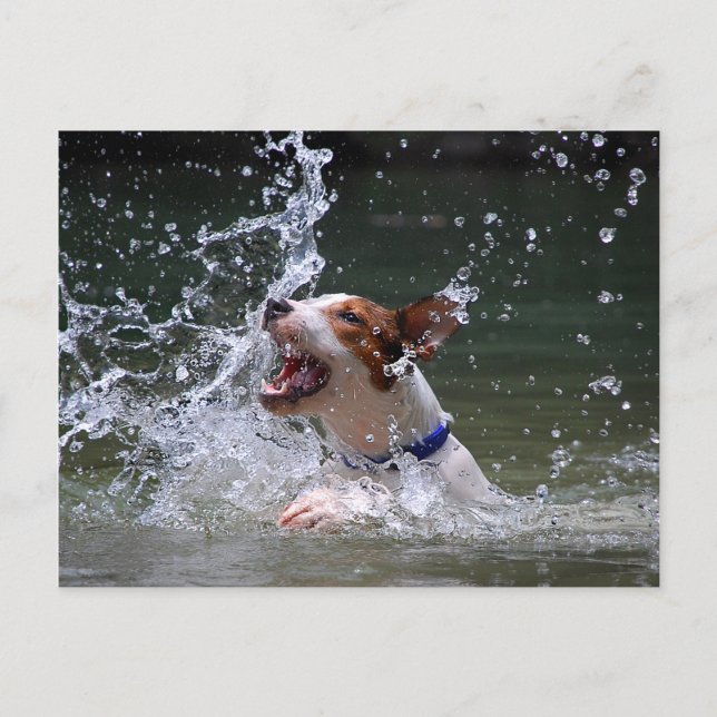 Schwimmen Postkarte (Vorderseite)