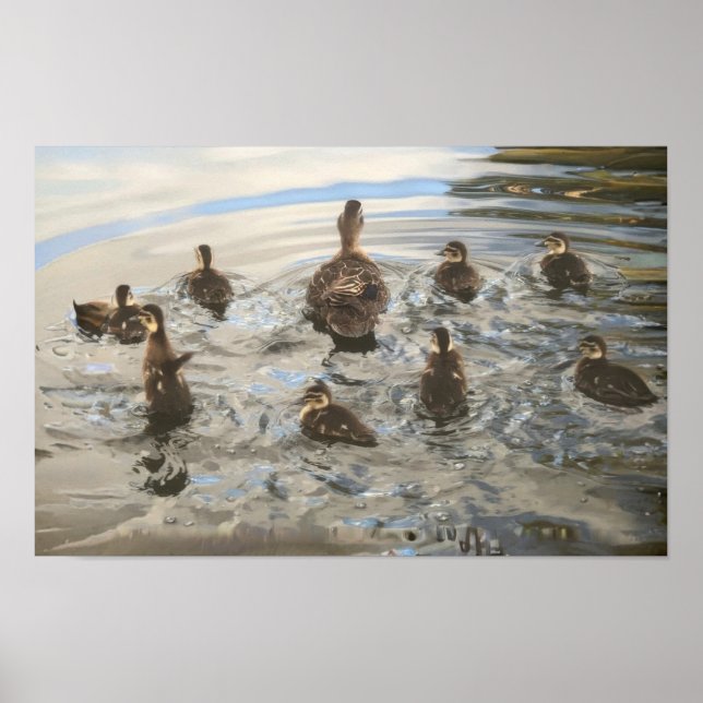 Schwimmende Enten Poster (Vorne)