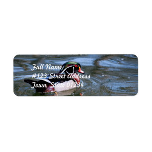 Schwimmende hölzerne Ente