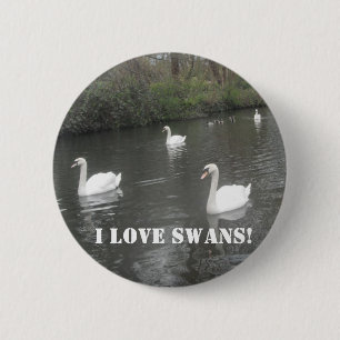 Schwimmende Knopf-Schwäne, i-Liebe-Schwäne Button