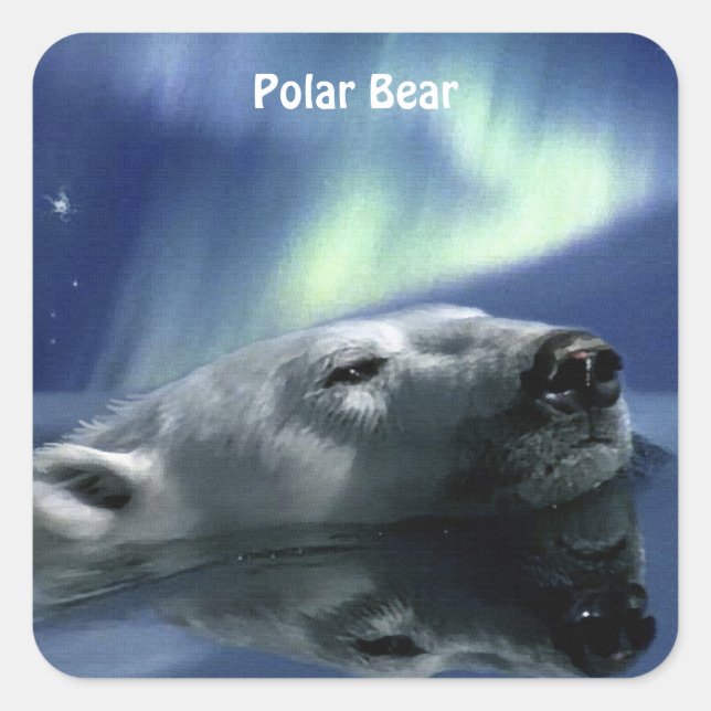 SCHWIMMENDE POLAR BEAR Wildlife Stickers (Vorderseite)