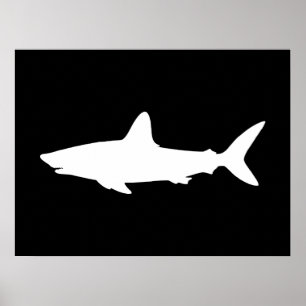 Schwimmender Hai Poster