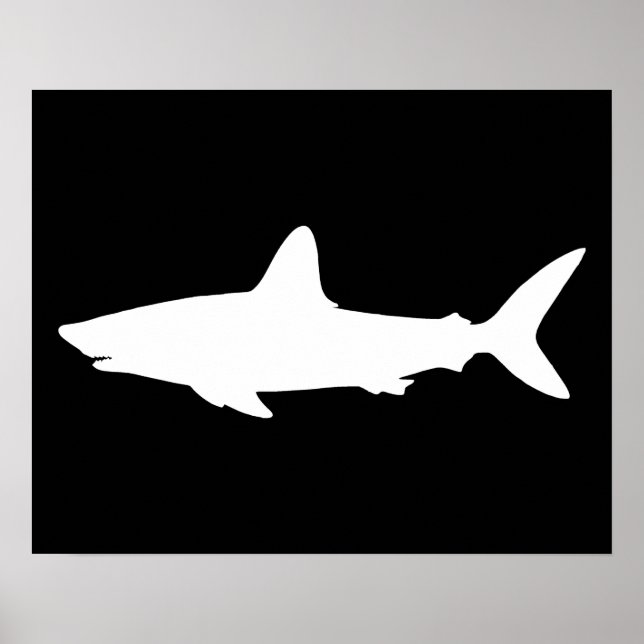 Schwimmender Hai Poster (Vorne)