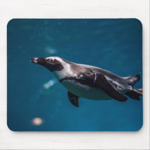 Schwimmender Pinguin im Meer. Mousepad