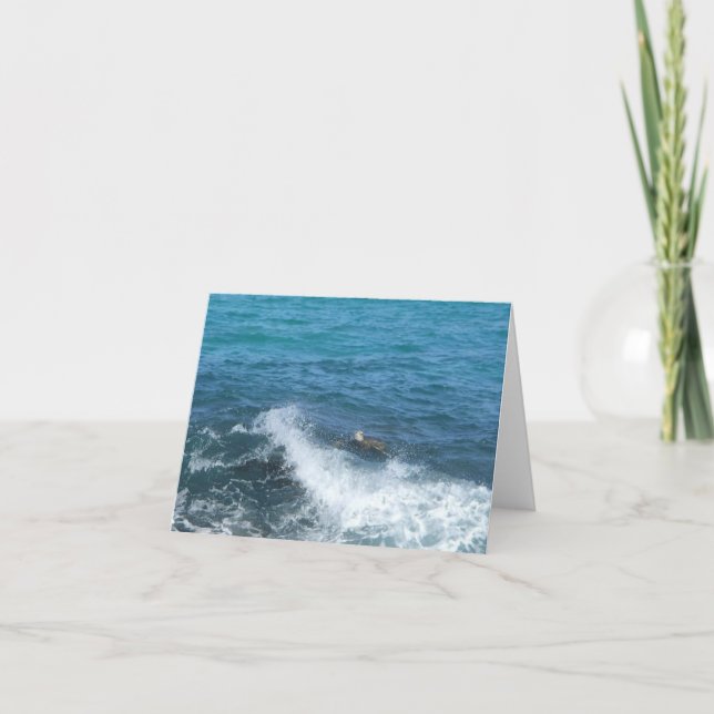 Schwimmenschildkröte notecard (freier Raum nach Karte (Vorderseite)