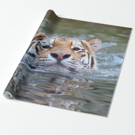 SchwimmenTiger20150901 Geschenkpapier