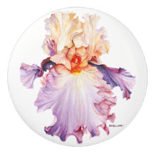 Schwimmer-Keramik-Drehknopf Iris 1