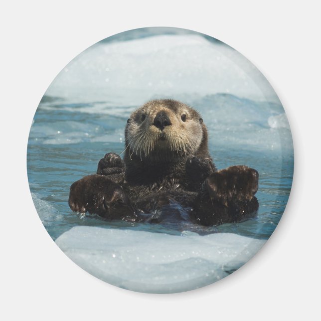 Schwimmer Magnet (Vorne)