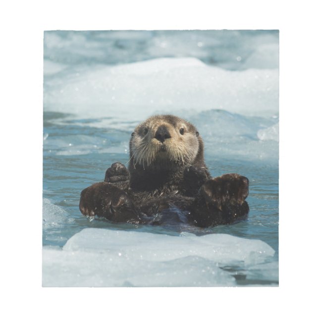 Schwimmer Notizblock (Vorderseite)