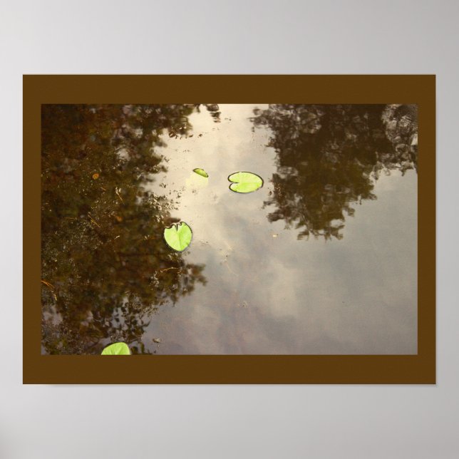 Schwimmer-Wasserlilien-Plakat Poster (Vorne)