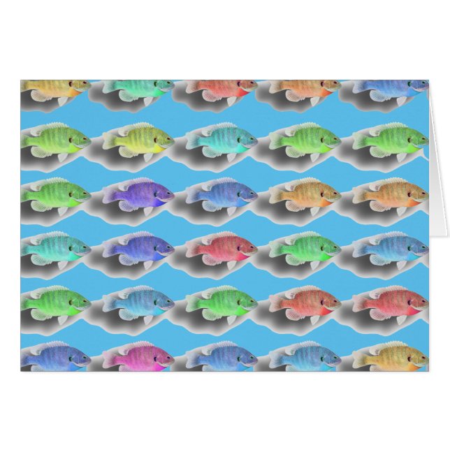 Schwimmfische (Vorderseite (Horizontal))