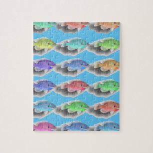 Schwimmfische