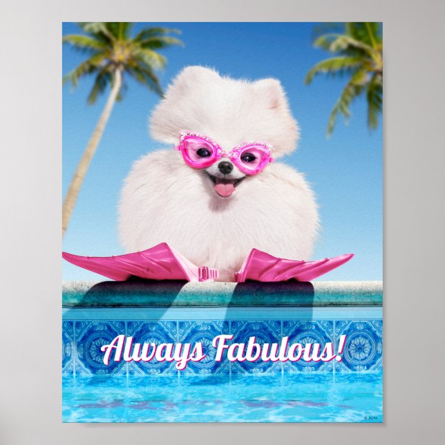 Schwimmhund in Schwimmern Poster (Vorne)