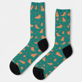 Schwimmkapybaras mit orangefarbenen socken