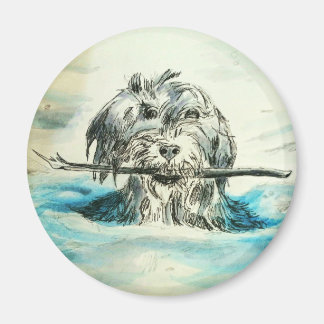 Schwimmkreismagnet für Hunde Magnet