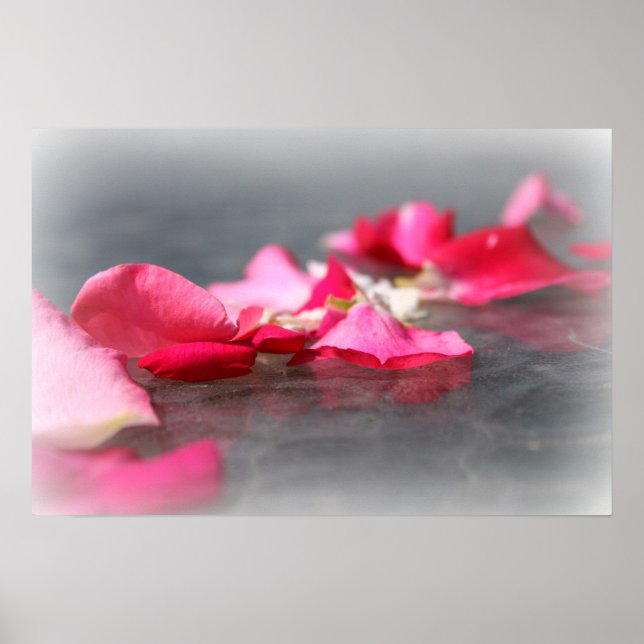 Schwimmrosa Rosenblätter auf Wasserplakat Poster (Vorne)