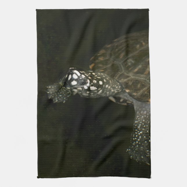 Schwimmschildkröte Küchentuch (Vertikal)