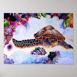 Schwimmschildkröte Poster