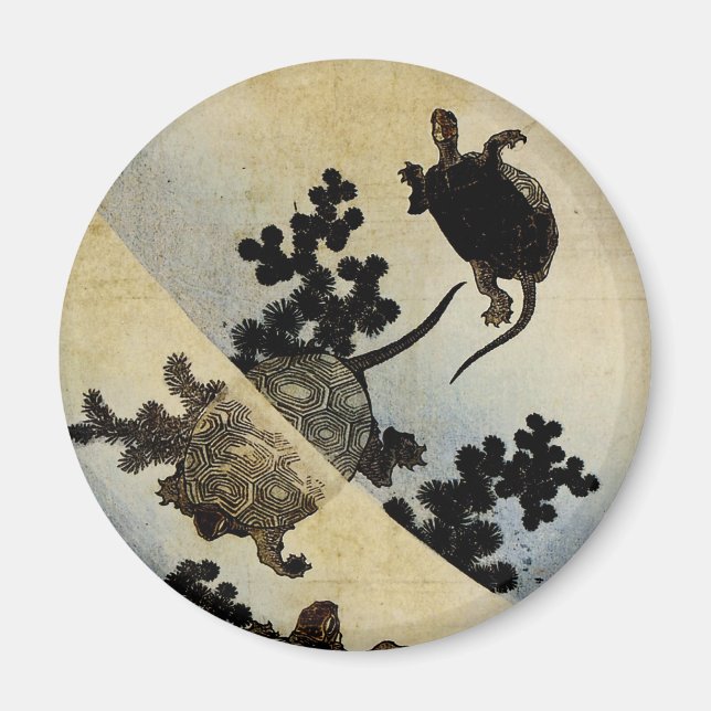 Schwimmschildkröten Magnet (Vorne)