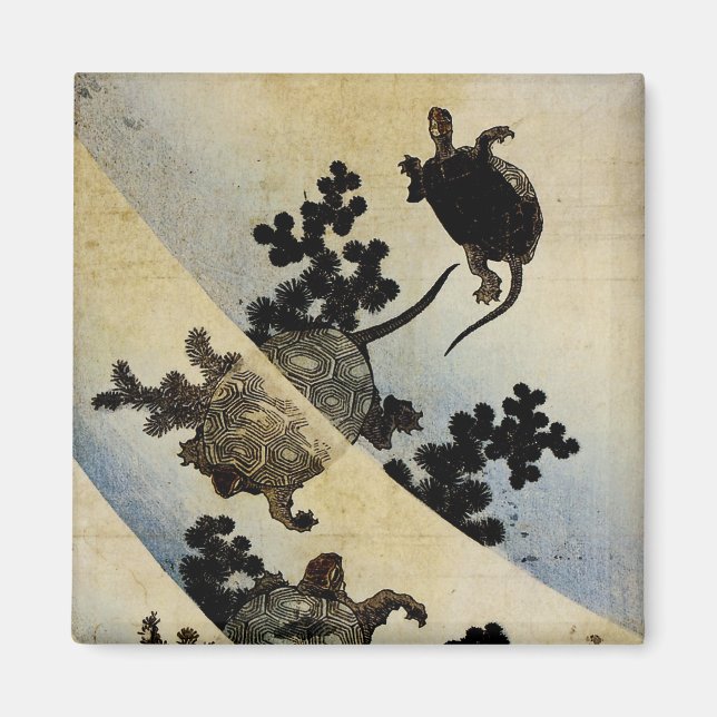 Schwimmschildkröten Magnet (Vorne)