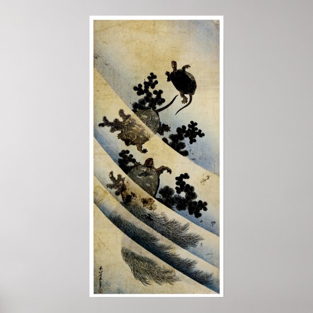Schwimmschildkröten Poster (Vorne)