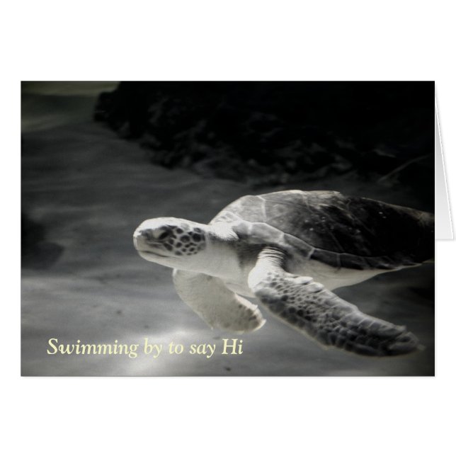 Schwimmturtelsays Hallo (Vorderseite (Horizontal))