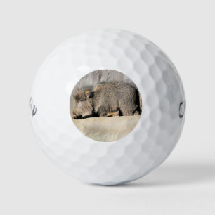 Schwindel Golfball