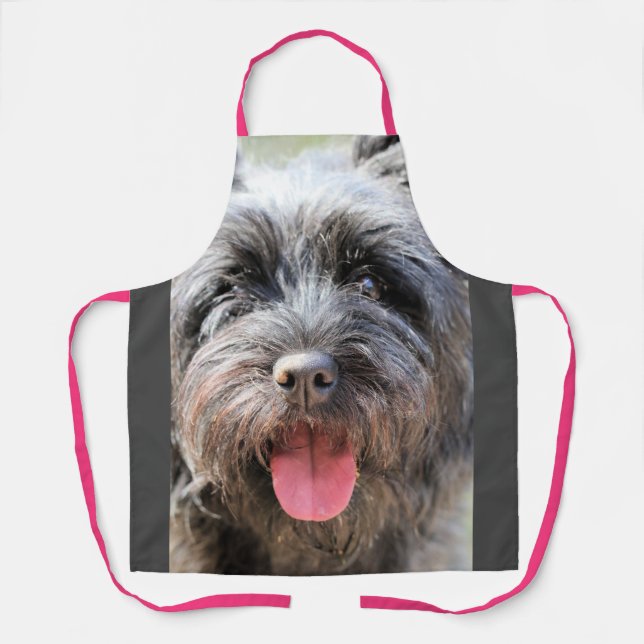 schwindlig schürze (Vorderseite)